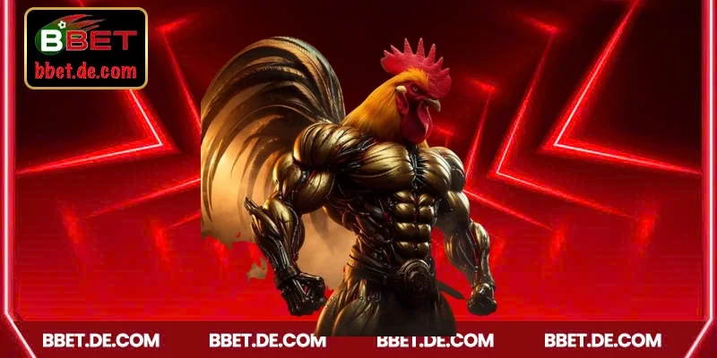 Hướng dẫn đặt cược đá gà dễ dàng